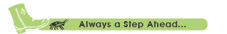 R & R Pest Control Service | Austin Pest Control | Cedar Park Pest Control | Leander Pest Control | Round Rock Pest Control | Lakeway Pest Control