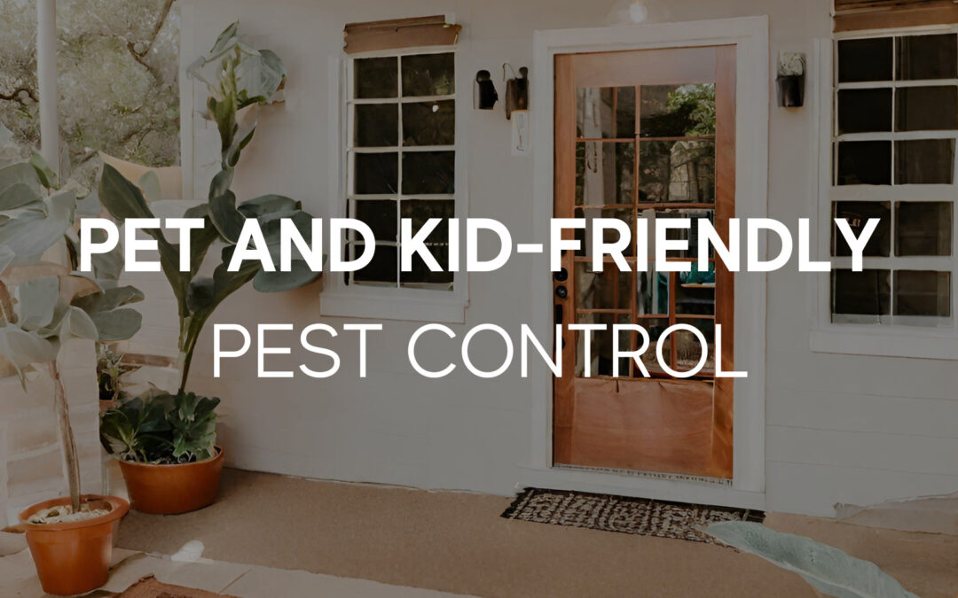 Pet-Friendly and Kid-friendly Pest Control: Our Promise with R&R’s Eco-Friendly Approach​