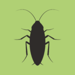 roach dead from eco friendly pest control austin texas