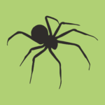 R&R Pest Control specialist safely removing spiders from a home, with a focus on child and pet safety.