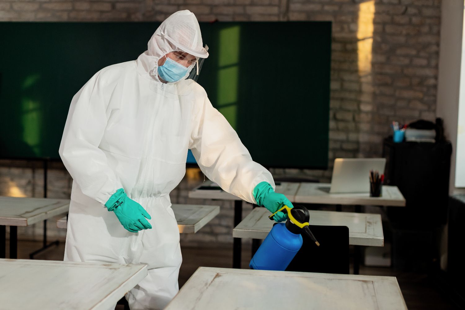 Pest Control Services Round Rock
