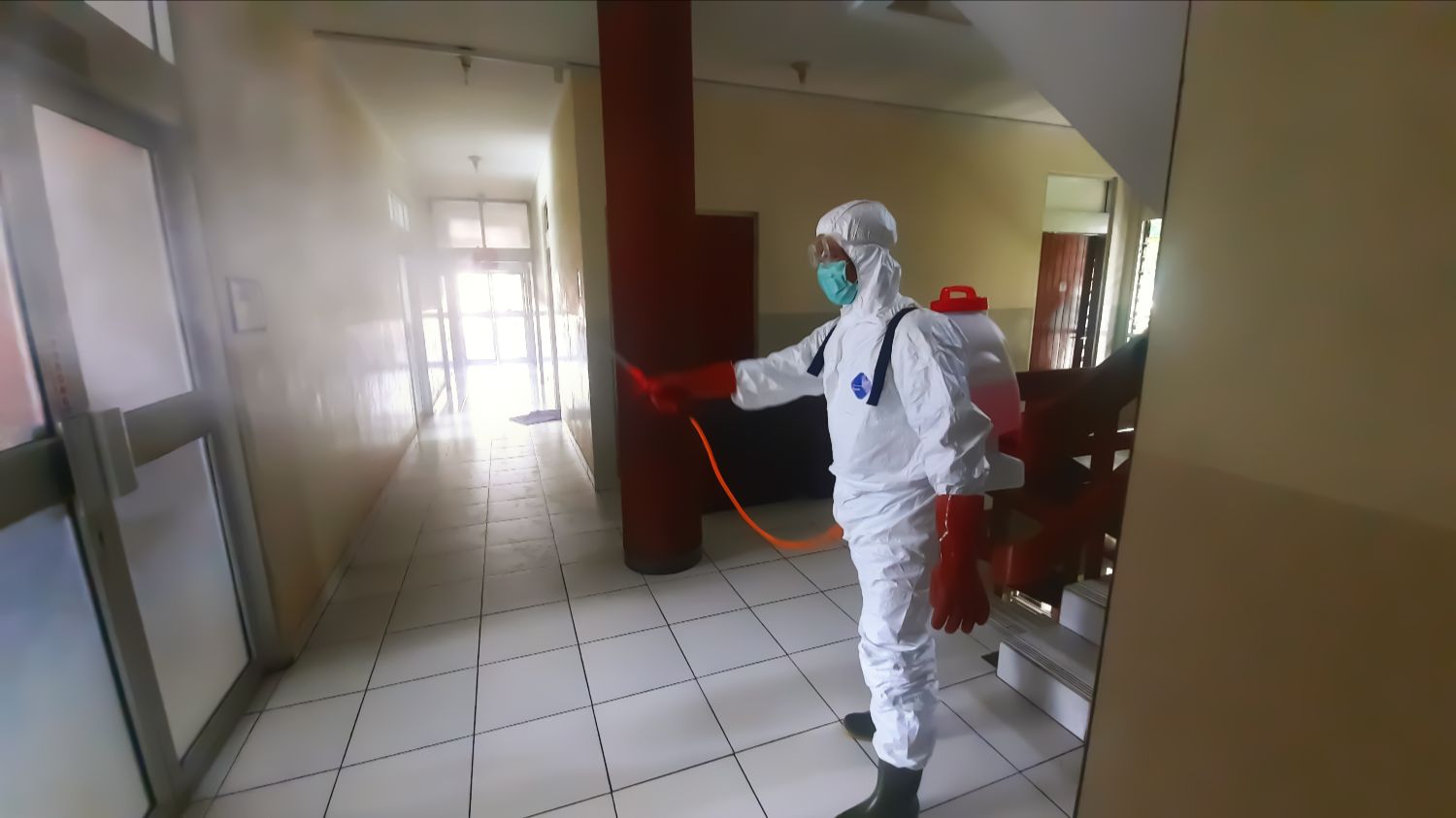 Pest Exterminator Round Rock TX
