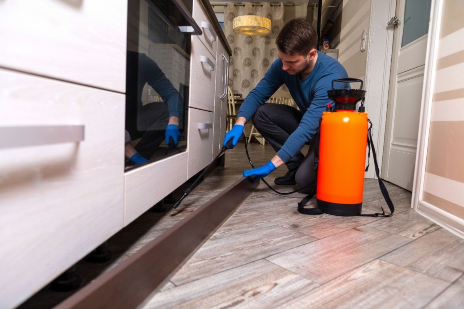 Residential pest control Round Rock