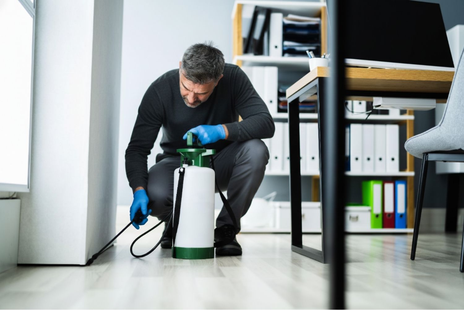 Pest control services Round Rock