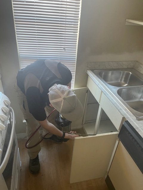 Cockroach Pest Control