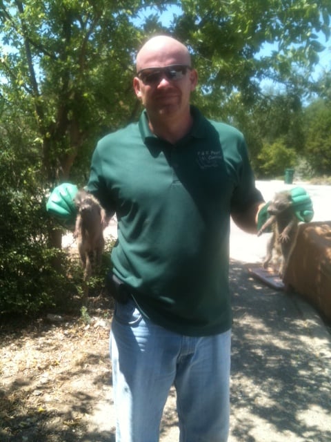 pest control in Cedar Park TX 18 pest control