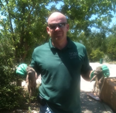 Interior Pest Control